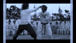 Marcus Miller-Bruce Lee