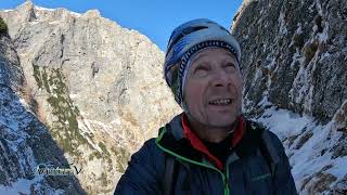 Albişoara Gemenelor