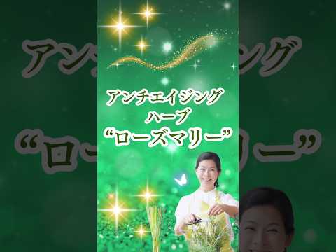 医療ビジネス薬科学科 🌿アンチエイジング ハーブ "ローズマリー"🌿 #shorts #ハーブ #体質改善