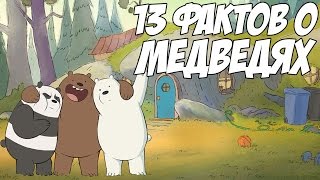 ВСЯ ПРАВДА О МЕДВЕДЯХ - 13 КЛЁВЫХ ФАКТОВ (WE BARE BEARS)
