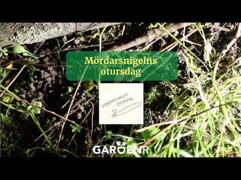 Mördarsnigelns otursdag - Trädgårdshacks med GardenR