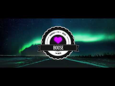 Alan walker - Darkside (lirik dan arti ft.Aura and Tomine Harket)