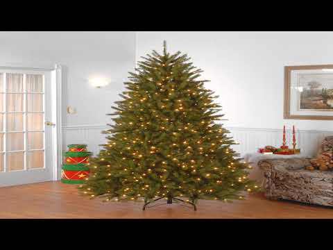 National Tree 7.5 Foot Dunhill Fir Tree with 750 Clear Lights, Hinged (DUH-75LO)
