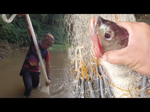 SE03EP164 Part 3 - Mga TILAPIA na PULANG PULA ang ULO | Brgy. Callejon, San Antonio Quezon