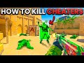 How To WIN Against Cheaters In CS2