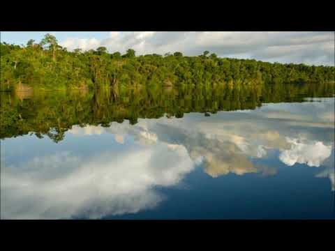 Hinário Madrinha Cristina Raulino Hino 9 Meu Mestre me mandou