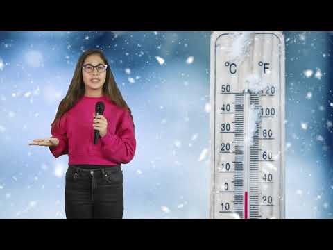 De unde vine gerul în România - Elisa Popescu