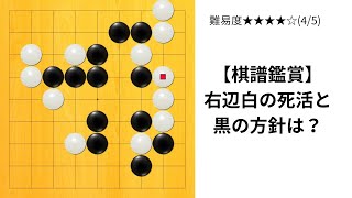 【9路】囲碁クエスト1位の棋譜をゆっくり鑑賞してみた