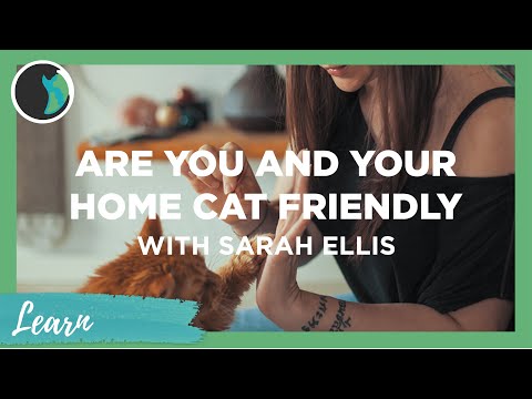 Are you and your home cat friendly - Sarah Ellis