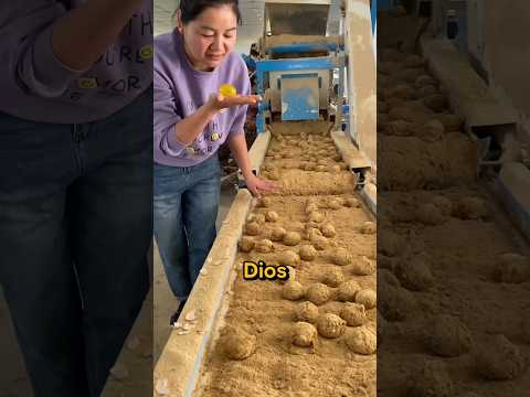 ¡Mamá Está Comiendo Tierra! 😲 Pero Hay Una Sorpresa