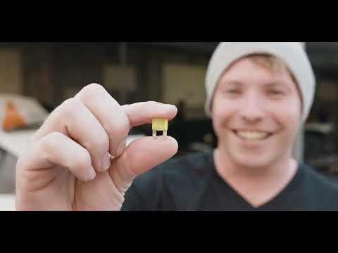 BEERS 1000 October 2021 Collie Motorplex