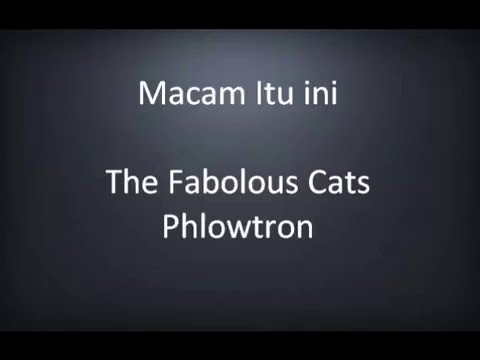 The Fabulous Cats - Macam Itu Ini ft Phlowtron Lyrics