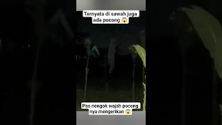 Download lagu ada penampakan di sawah mp3 Download lagu ada penampakan di sawah mp3