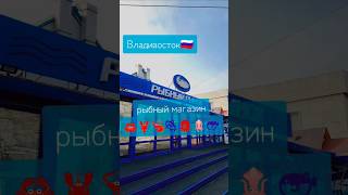 ロシア, ウラジオストクの魚屋・水産業の事情🐟🦀🦐🦈🐙🐡#ウラジオストク#ロシア#ロシア生活#ロシア移住#公邸料理人#公邸会食#元公邸料理人#日露カップル###
