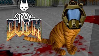 [閒聊] STRAY新作：毀滅戰貓 (X)