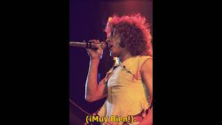 The Who The Punk And The Godfather Subtitulada