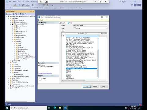 Auditing Sql Server Activity