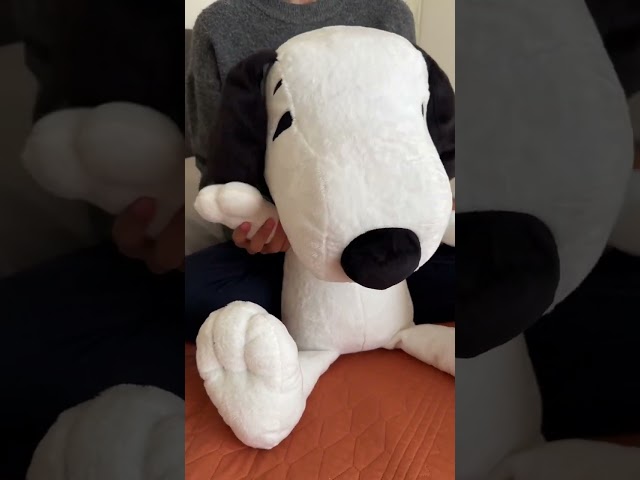 Vídeo relacionado con Uni-Toys - Búho (Gris-Blanco) con Sombrero de Doctor y Gafas - 18 cm (Altura) - pájaro de Peluche - Peluche
