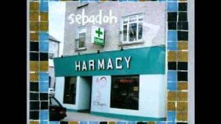 Sebadoh - I Smell a Rat