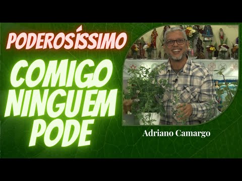 Comigo Ninguém Pode - Adriano Camargo [Rituais com Ervas]