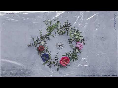 RAUDI :: Shot Me Down (feat. Boovin, Flori del Pino) (Audio)