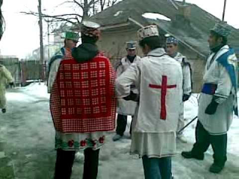 irozii goleasca anul 2009