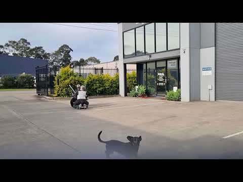 Hounds Retreat 2024, Day 1 - Ziad vs Madeline