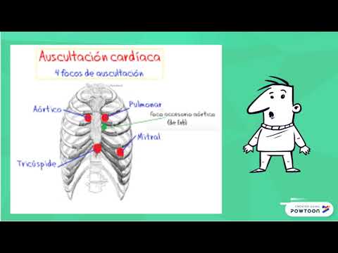 SEMIOLOGIA CARDIOVASCULAR