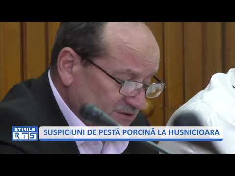 SUSPICIUNE DE PESTA PORCINĂ LA HUSNICIOARA