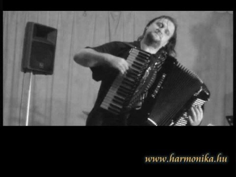 Orosz Zoltán - Hora Bucuresti - Paparazzi video ..:)Harmonika - Accordion