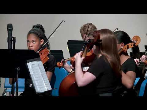 CHAMBER ORCH  Contrasts in E Minor   Feese