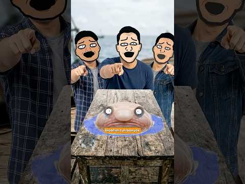Blobfish Sebenernya Gak Jelek?! 🐟🌊