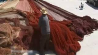 DIARIO DE UN CAMINANTE - Cap. 10 DESIERTOS, ZORROS, BALDUINO Y FABIOLA DE BÉLGICA.