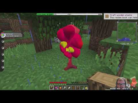 PixelMon Let's Go Server - Complete Livestream #1 (Minecraft Videos)