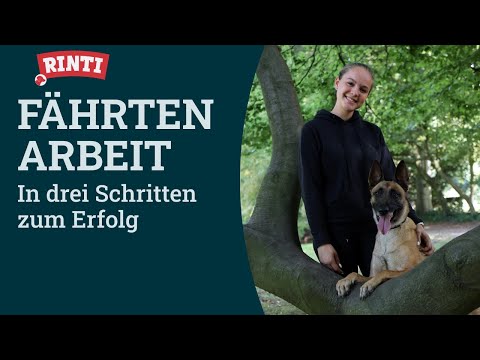 Fährtenarbeit mit Hund – in 3 Schritten zum Erfolg | RINTI