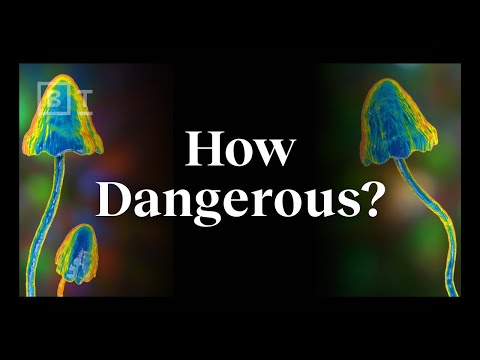 YouTube video about: Are mushrooms high in iron?