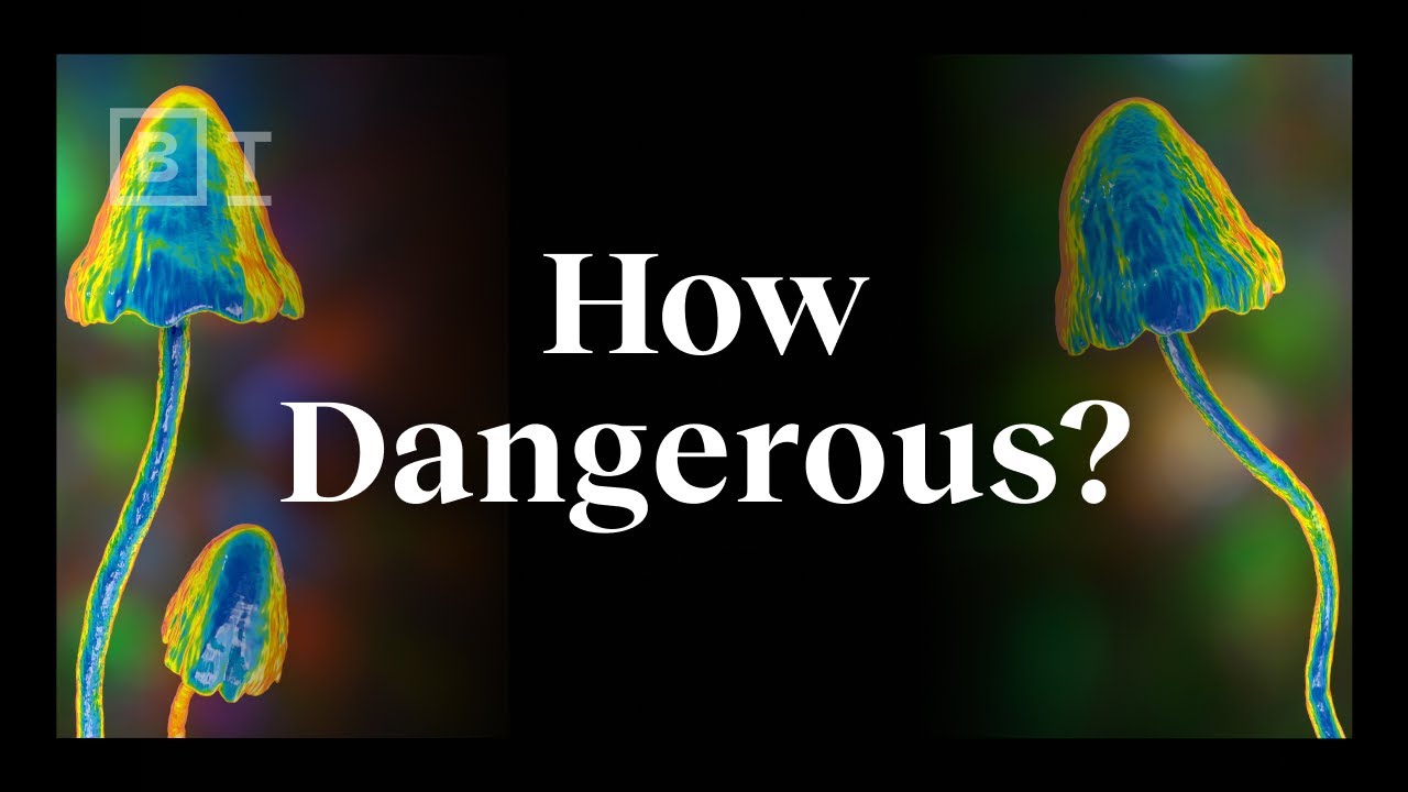 The real risks of psychedelics, explained by an expert | Dr. Matthew Johnson