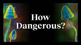Download Lagu The real risks of psychedelics, explained by an expert | Dr. Matthew Johnson Thumbnail