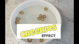 Watch Cereal Do Something AMAZING in Water