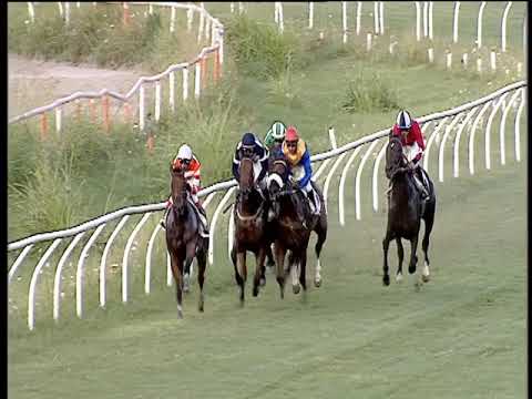 Galoppo 31/07/2019 - 3ª corsa