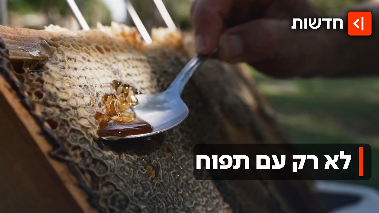 על שיפוד, בבירה - ואפילו על הפנים: השימושים של דבש שלא הכרתם