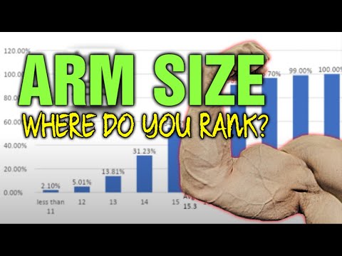 Average Bicep Size Chart