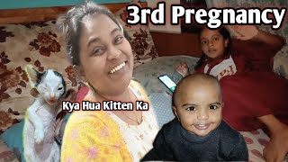 2 cesarean delivery K Baad Ab 3rd Ka Itne Jaldi Kaise | kitten ki update