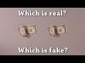 Fun Test: Which is Real? Vol 8