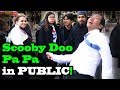 Scooby Doo Pa Pa DANCE IN PUBLIC