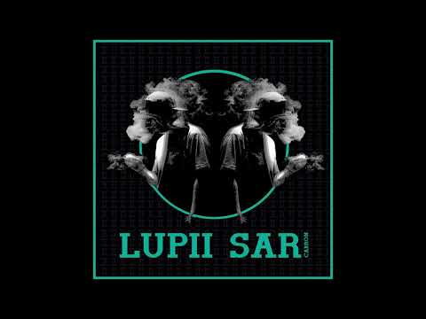 Cabron - Lupii sar (Official track)
