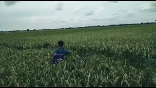 Download lagu Story Wa petani milenial #sad #youtubeshorts #quotes #youtube #fypシ゚viral #youtuber #youtubeshort mp3 Download lagu Story Wa petani milenial #sad #youtubeshorts #quotes #youtube #fypシ゚viral #youtuber #youtubeshort mp3
