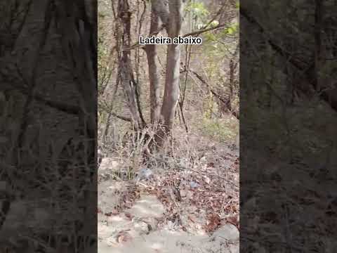 ladeira serra da Meruoca  Sobral ceará
