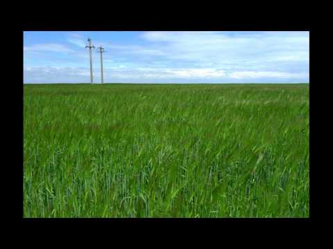 Lanul cu liniște - recită Nelu Rădoi - interpret Vili Dulă