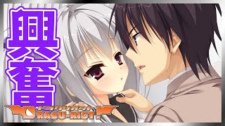 そんな風に誘われたら興奮するのも無理はない【DRACU-RIOT! 】【実況】エリナ#15